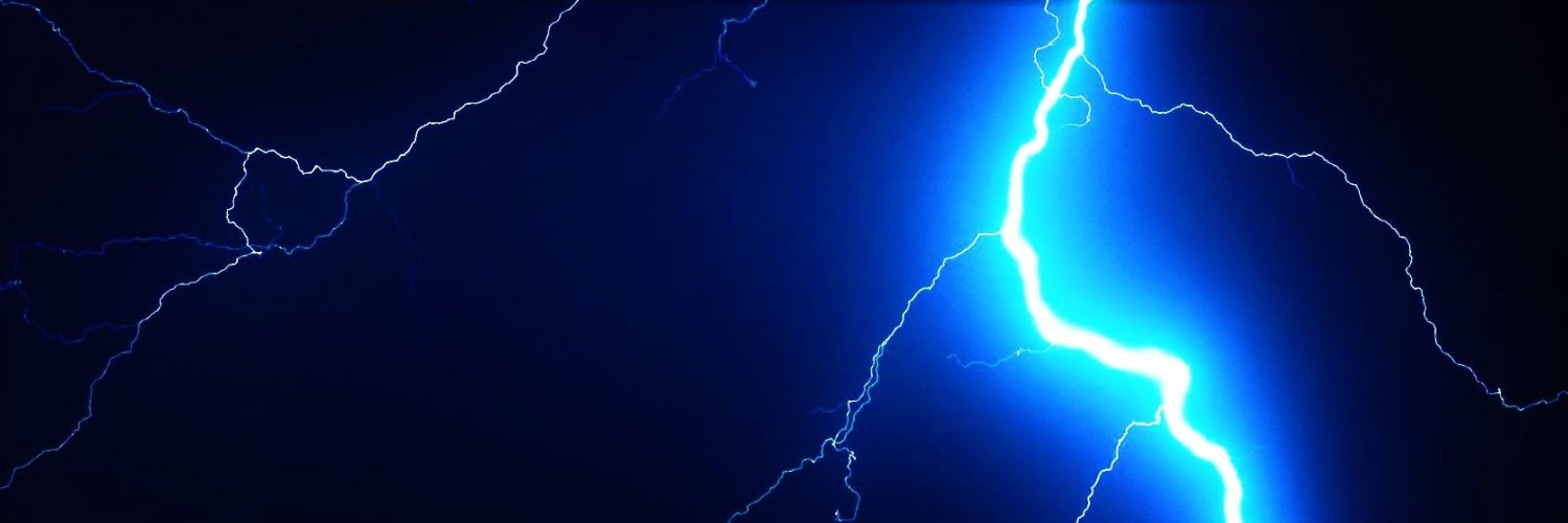 Volishun banner