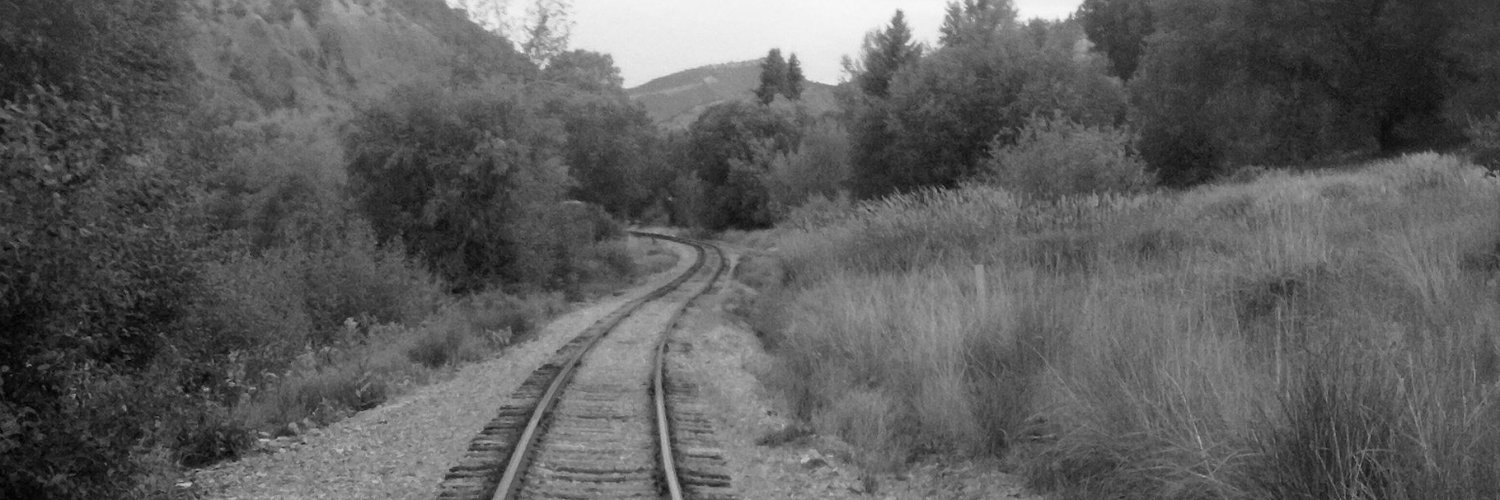 anaturaldrift's profile banner image