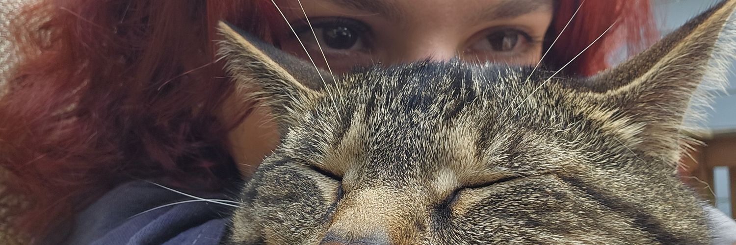 fuccchino's profile banner image