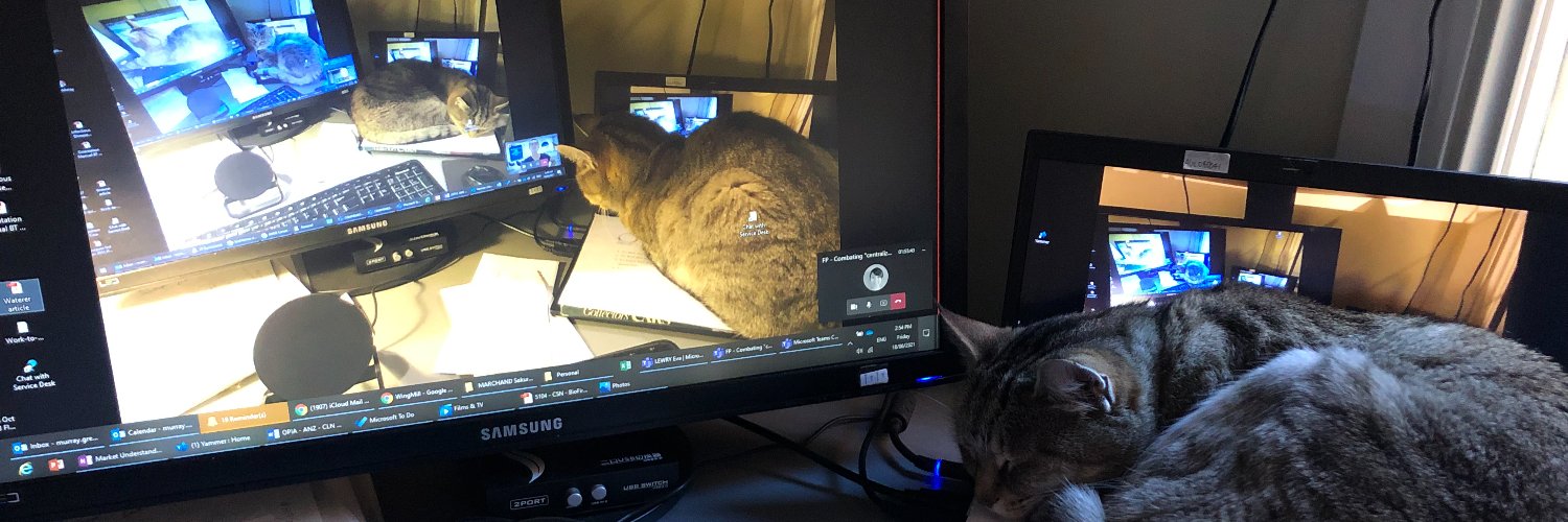 murraybgreen's profile banner image