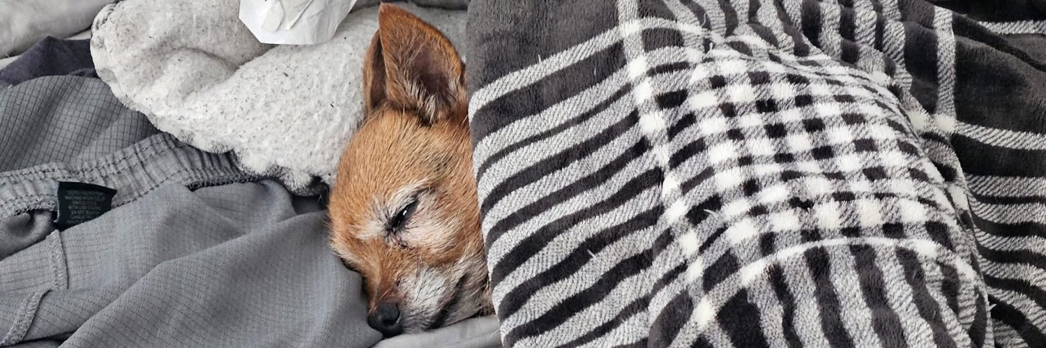 Star💖| Cosmetic Chemist 👩🏾‍🔬 + Esty bestie banner