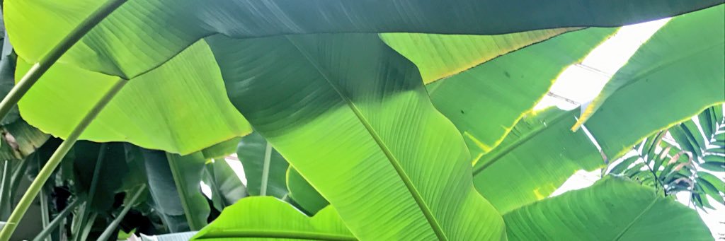 Yasmindigo's profile banner image