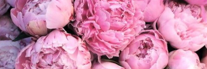 meaganmseale's profile banner image