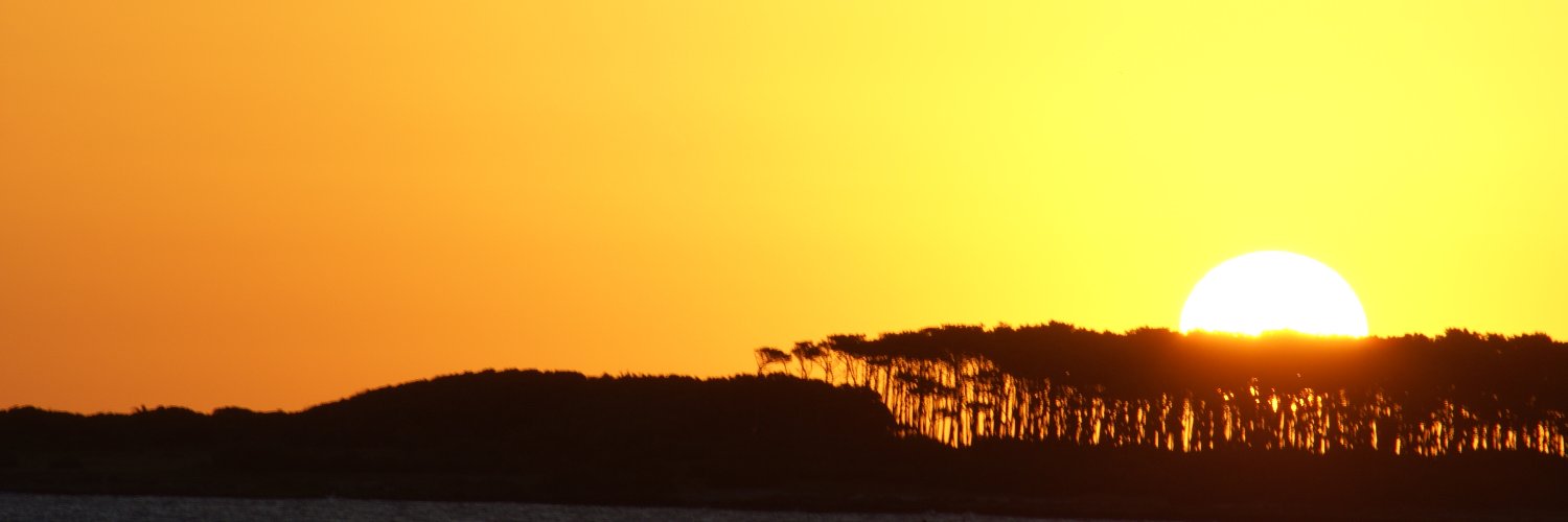 iaiopt's profile banner image