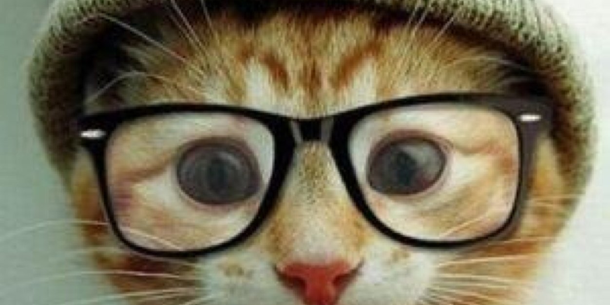 SchultzTully's profile banner image