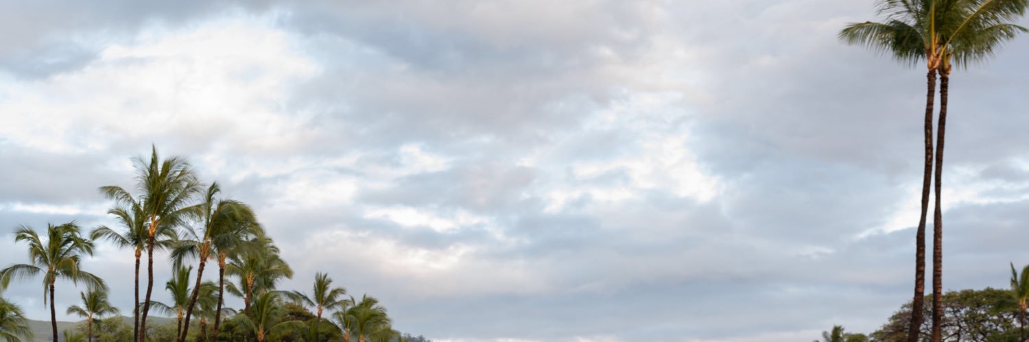 3_sunshine_6's profile banner image