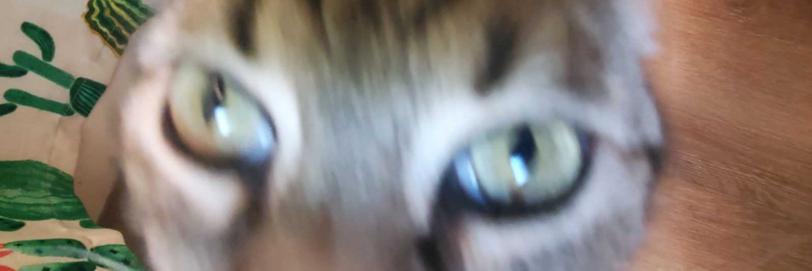 CoreyJ914's profile banner image