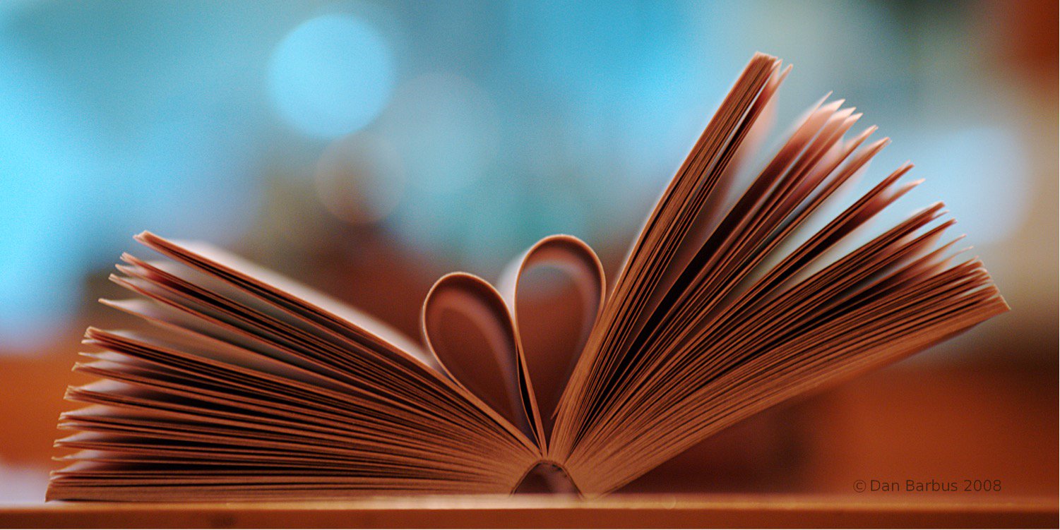 ddavisbooks's profile banner image