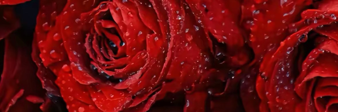idekelnunez's profile banner image