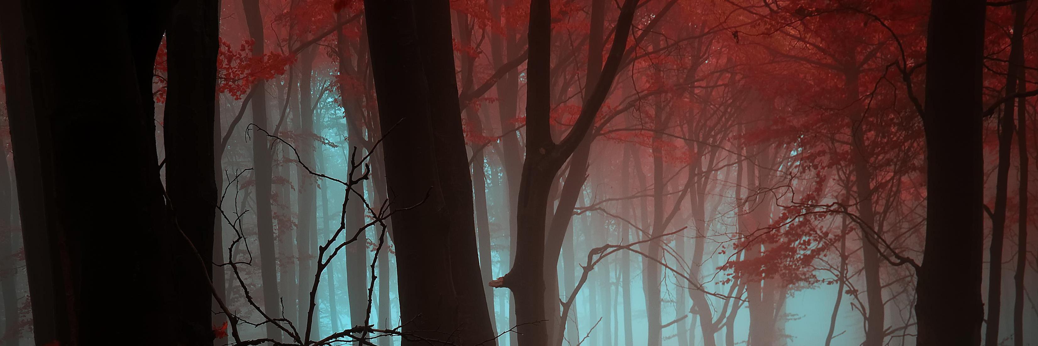 joacopalazzani's profile banner image