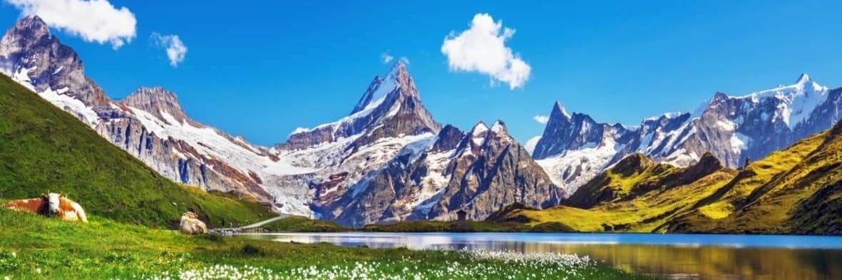 LadyMarmot's profile banner image