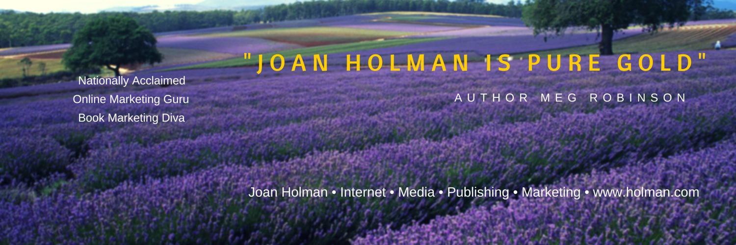 joanholmanmn's profile banner image