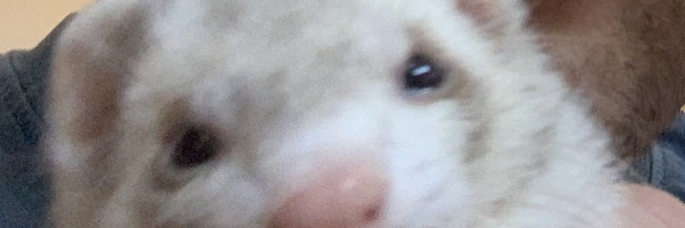 cassiesheabutta's profile banner image