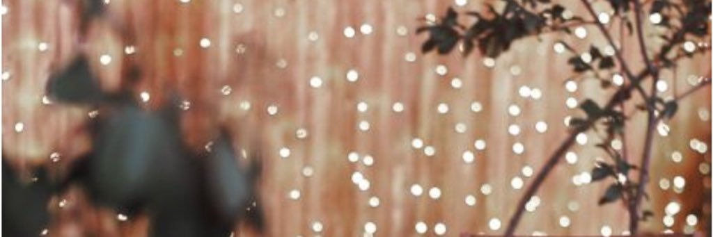 meshoalj's profile banner image