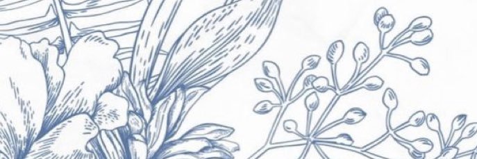 Angeles1228's profile banner image