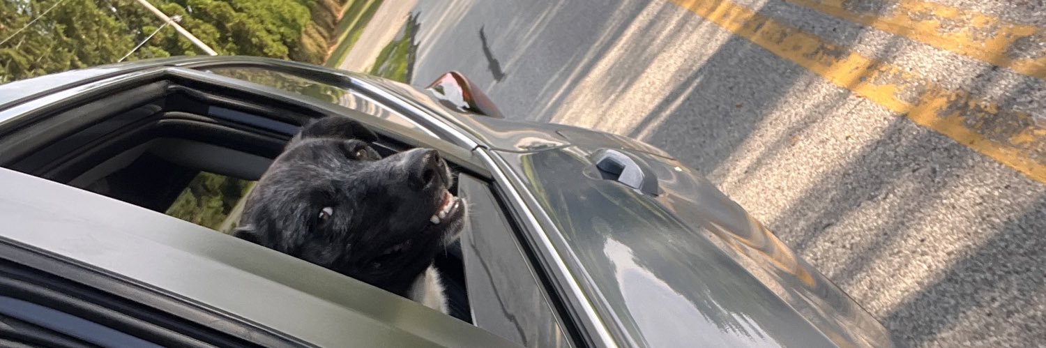 willhunter51's profile banner image