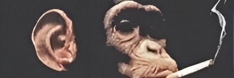 DarkDogRises's profile banner image