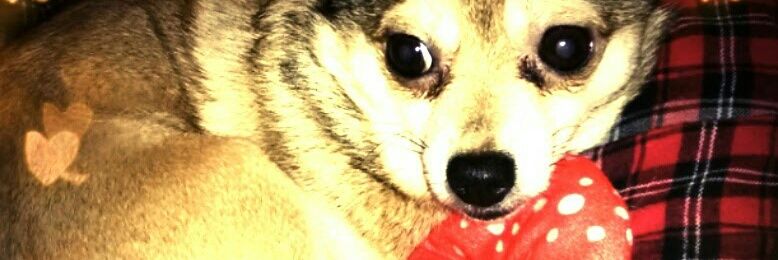 thudermax's profile banner image