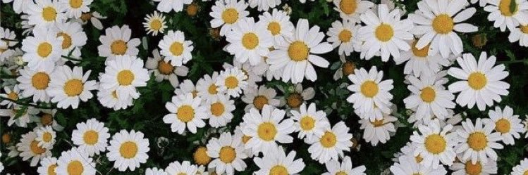 _changrace's profile banner image