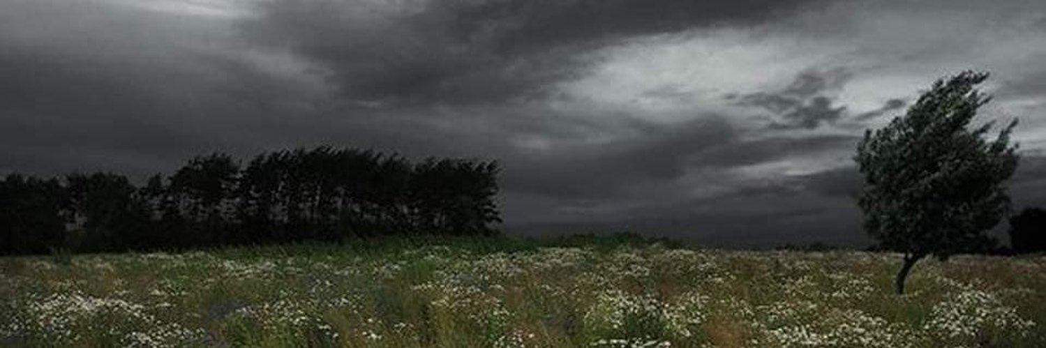 J_Pitty77's profile banner image