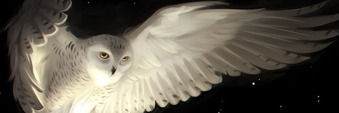 vverdugog's profile banner image