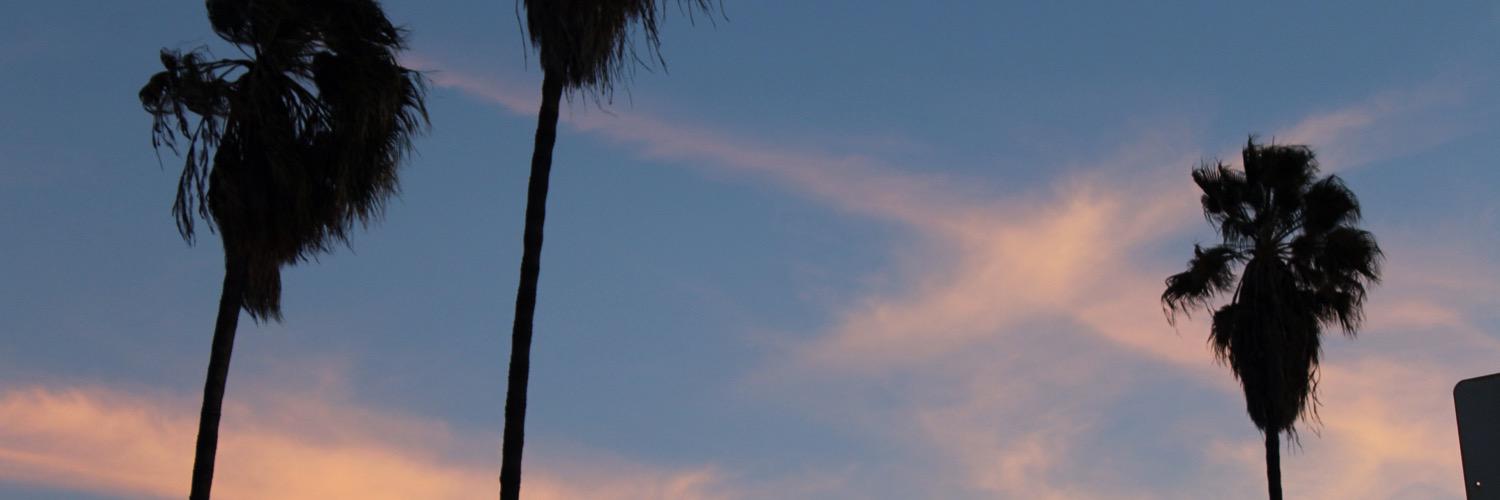 MsNica101's profile banner image