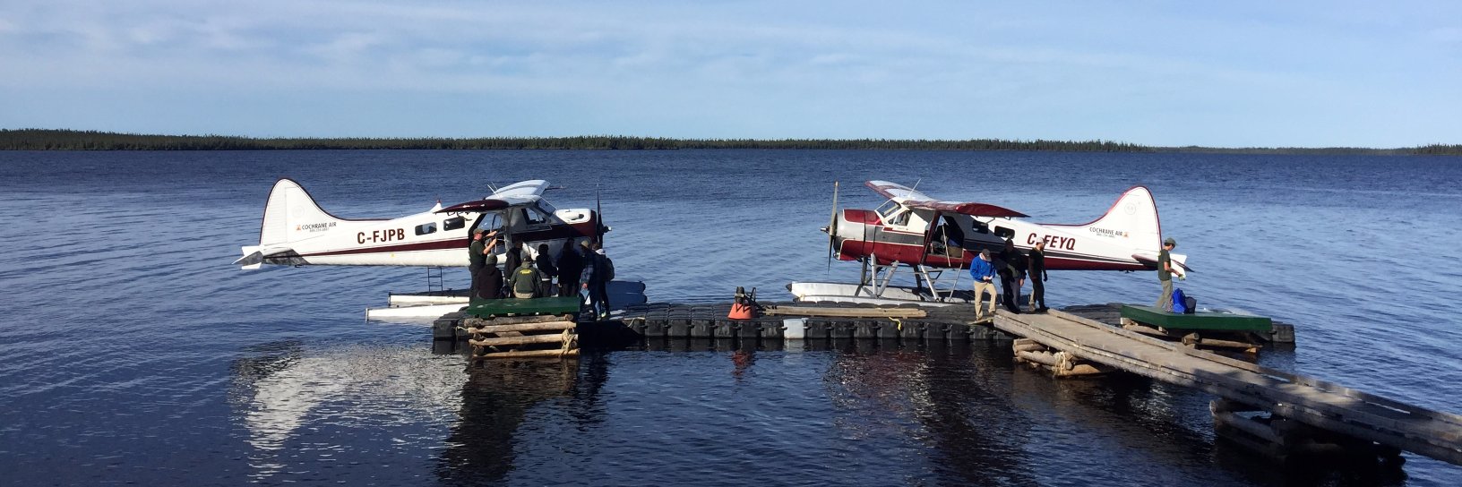 Daniel Beringer banner