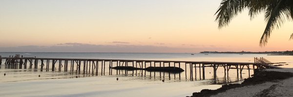 DustinWestling Profile Banner