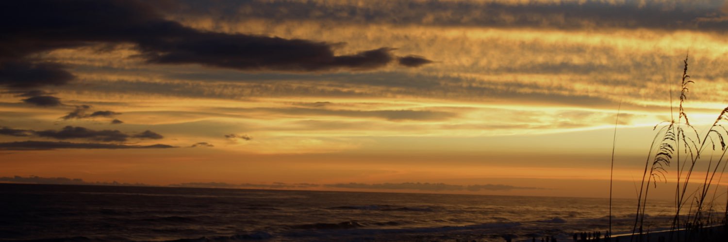 Rylie Patterson banner