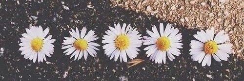 ZulimaGutierrez's profile banner image