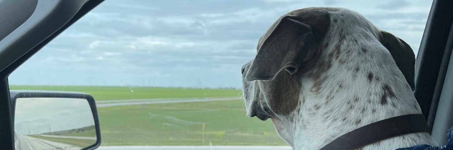 RarisInThisB's profile banner image