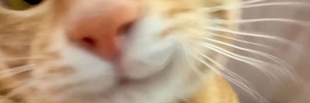 myocttt's profile banner image
