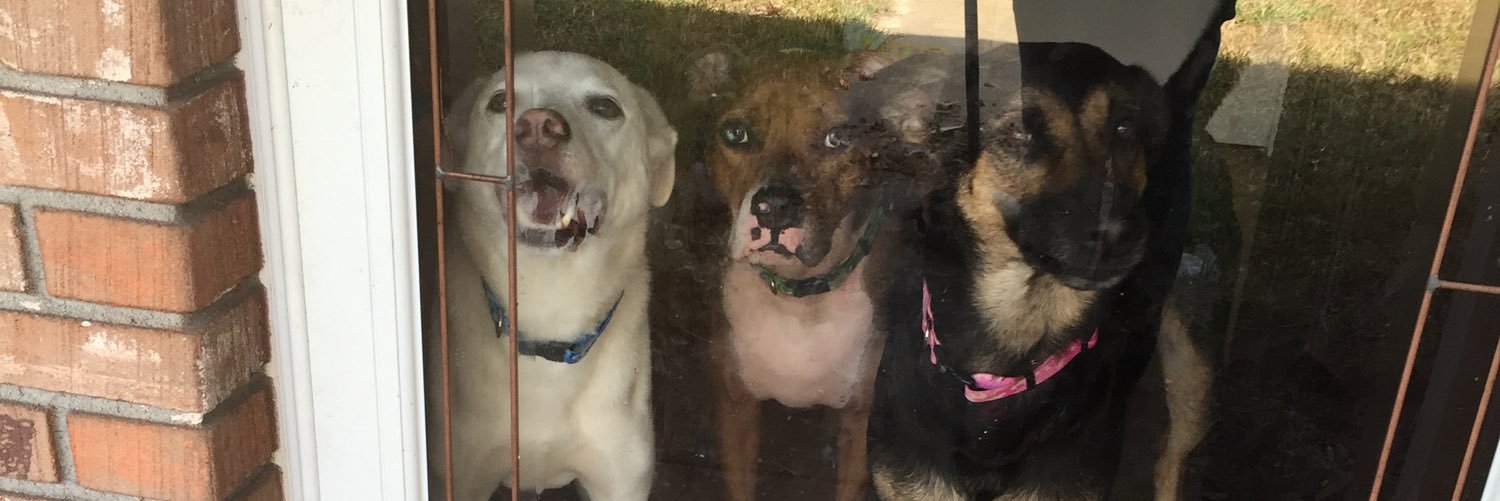 KaylaJayneee's profile banner image
