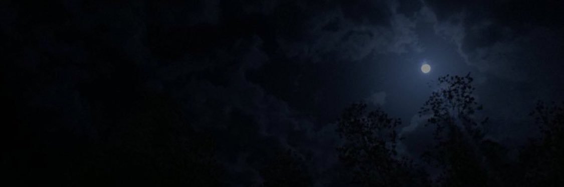 Temperamenta1's profile banner image