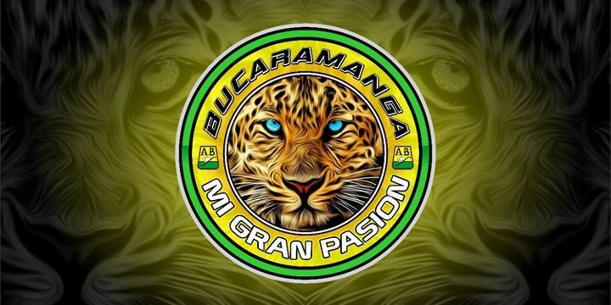 elayante's profile banner image