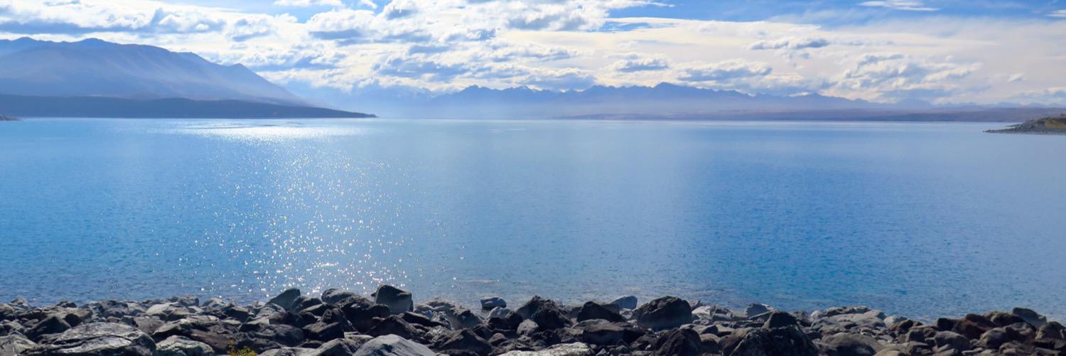 rachellvee's profile banner image