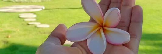Tutik_Indrawati's profile banner image