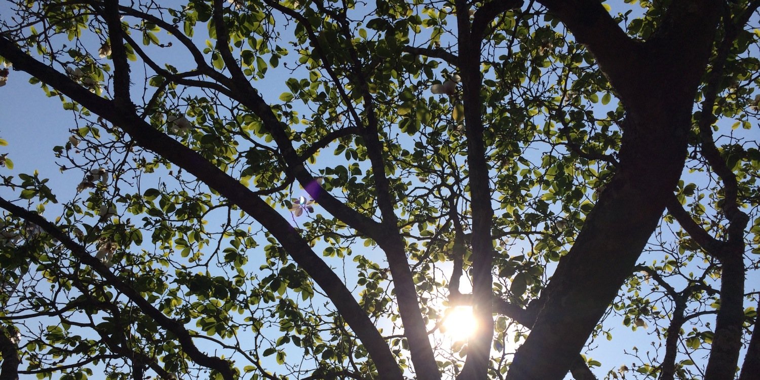 Graham Daniel banner