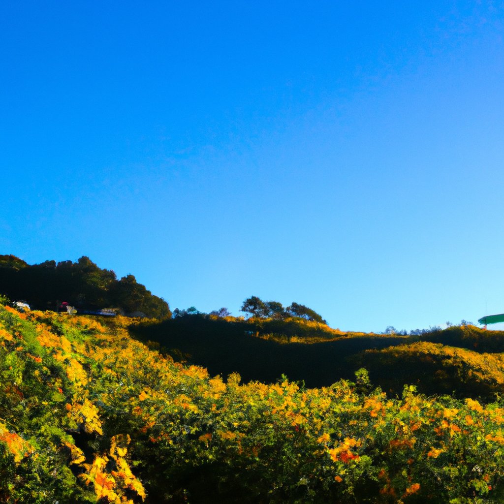 jerseygonow's profile banner image