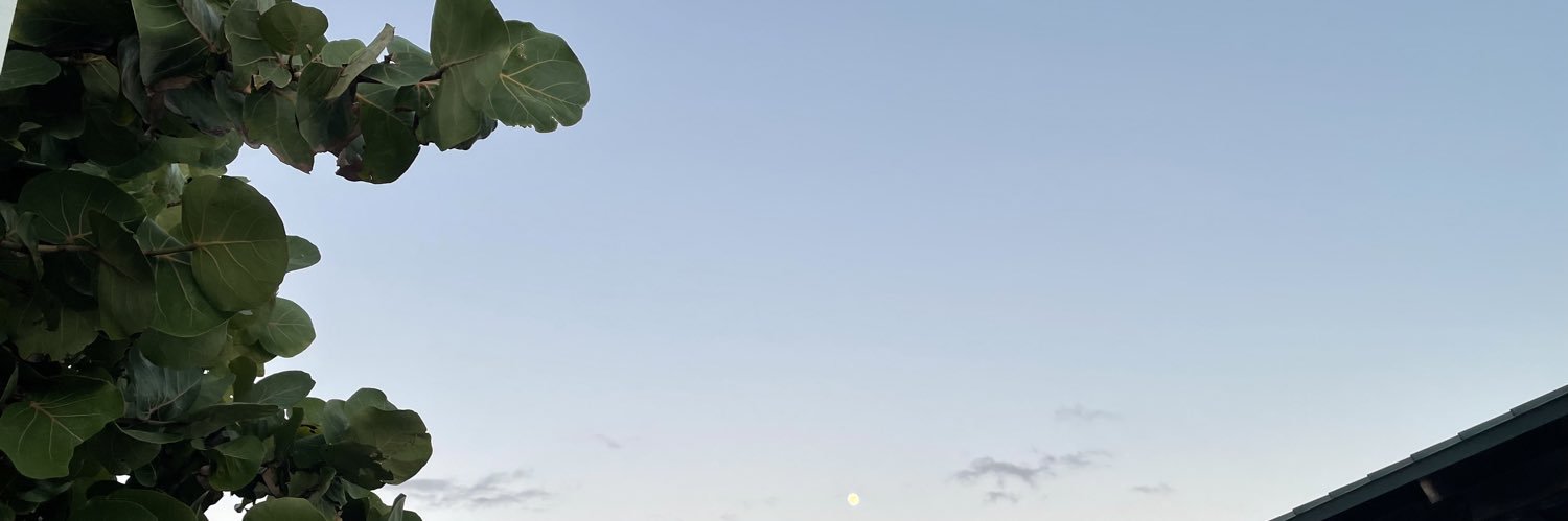 Casey O'Brien banner