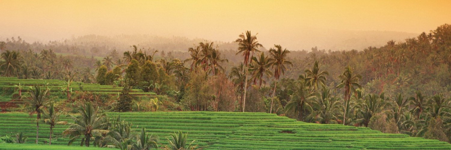 thaijenelle's profile banner image