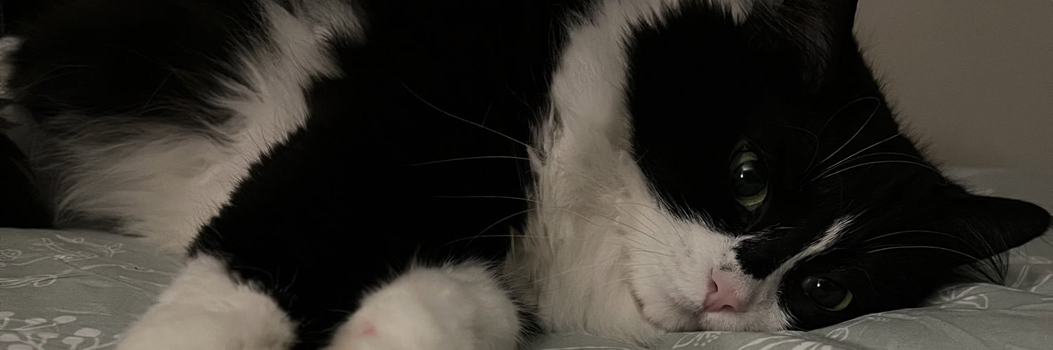 slashrin666's profile banner image