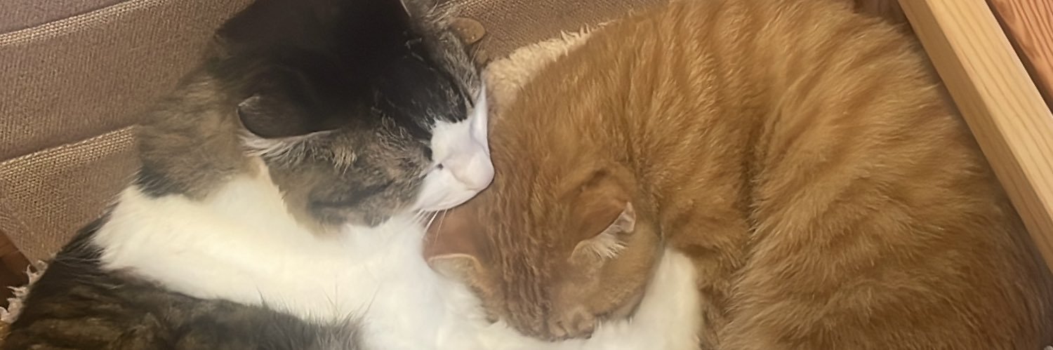 ohigex's profile banner image