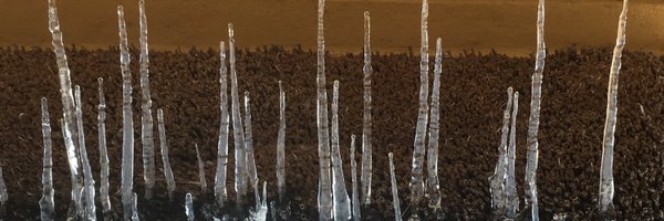 anneringgaard Profile Banner