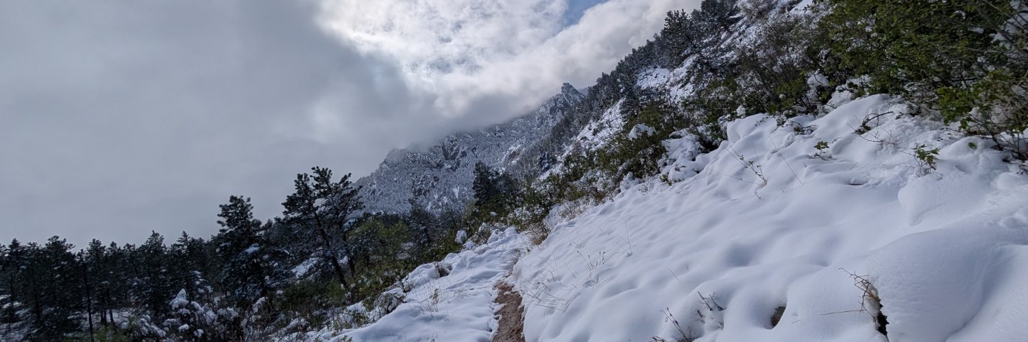 CanisLatrans___'s profile banner image