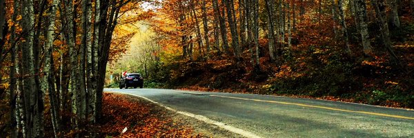 mesudedemirr Profile Banner