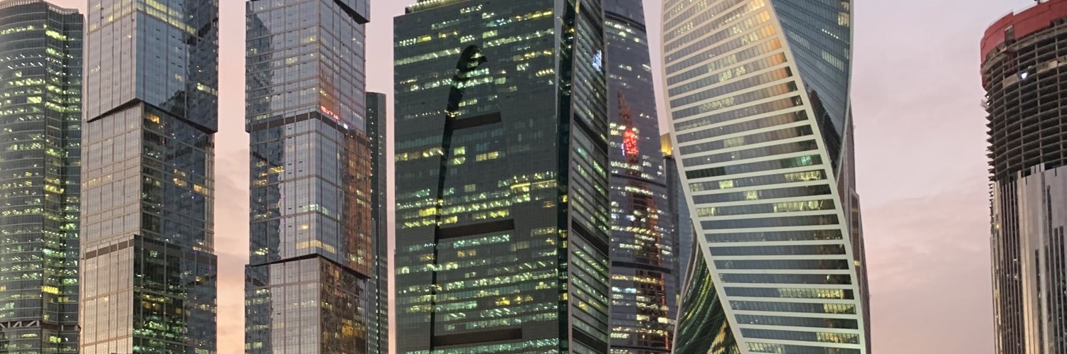 polyaulibka's profile banner image