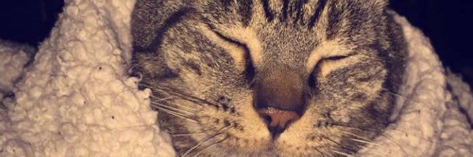 Mitch_Lopes's profile banner image