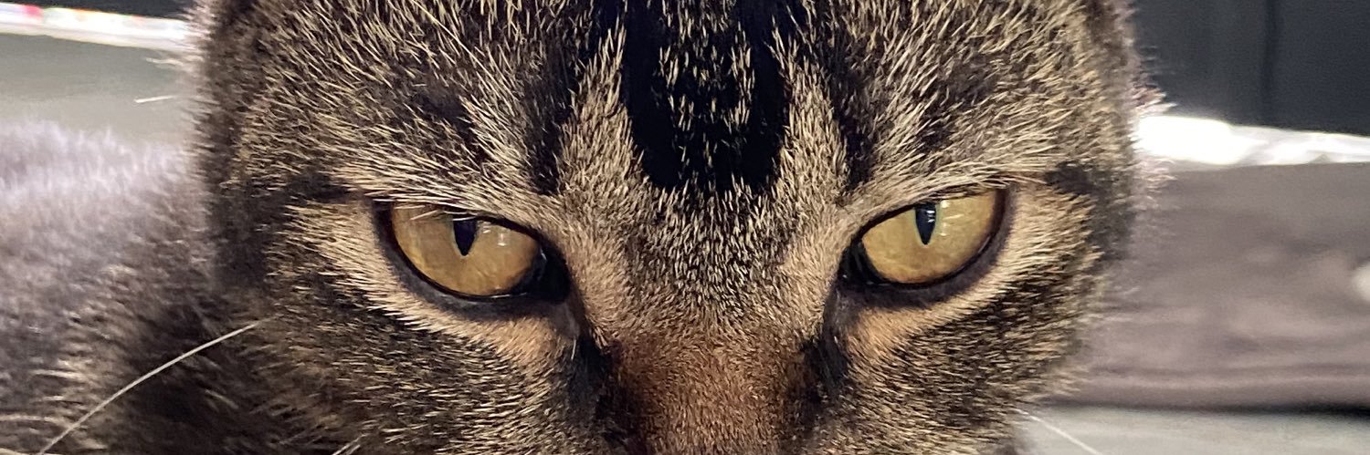 Pxtbu_'s profile banner image