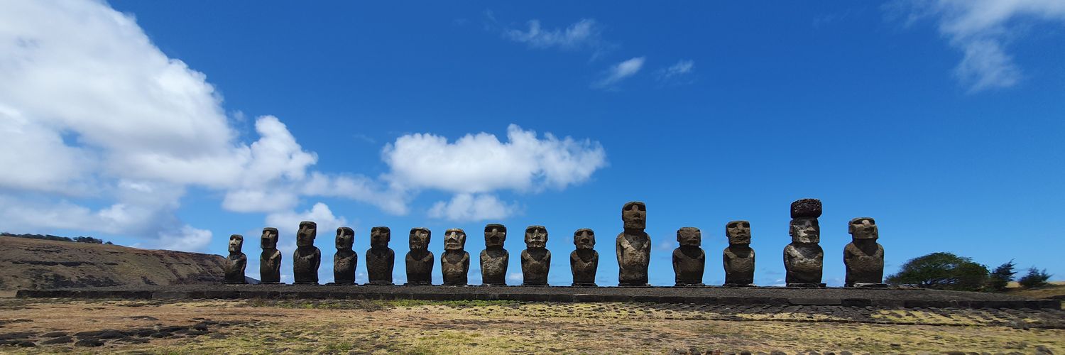 Surrinderella banner